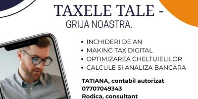 TAXELE TALE - GRIJA NOASTRA