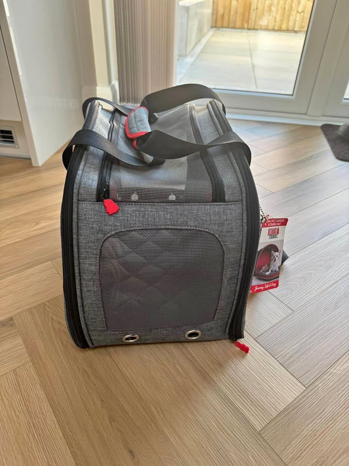 2 in 1 Pet Carrier
