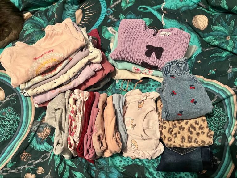 Baby girl clothing bundle