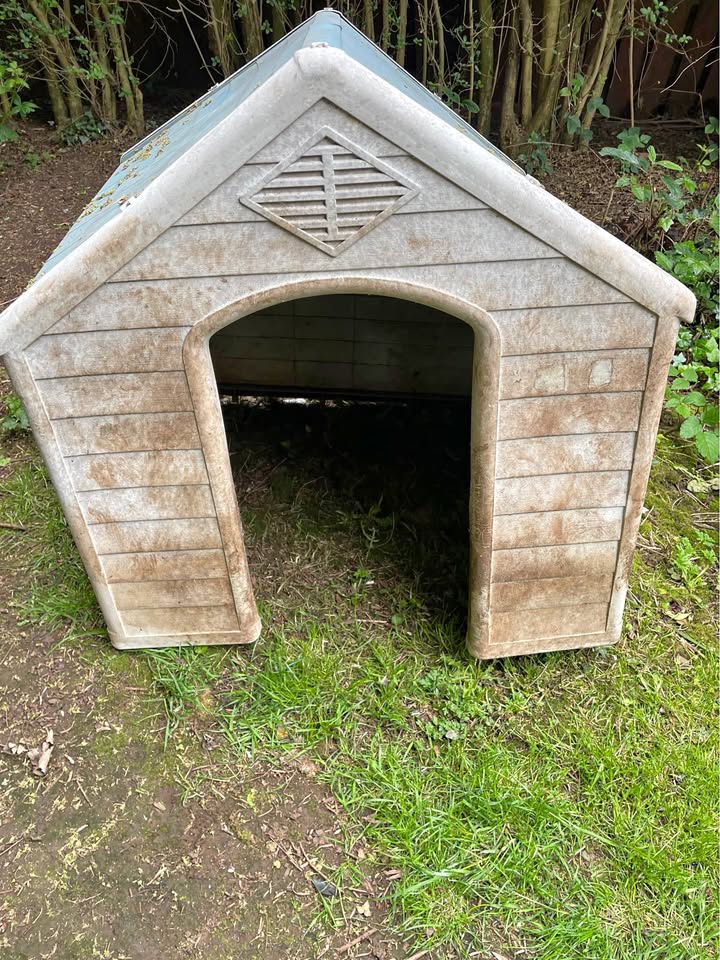 Large outside Dog kennel