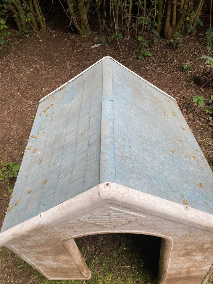 Large outside Dog kennel – poza 2