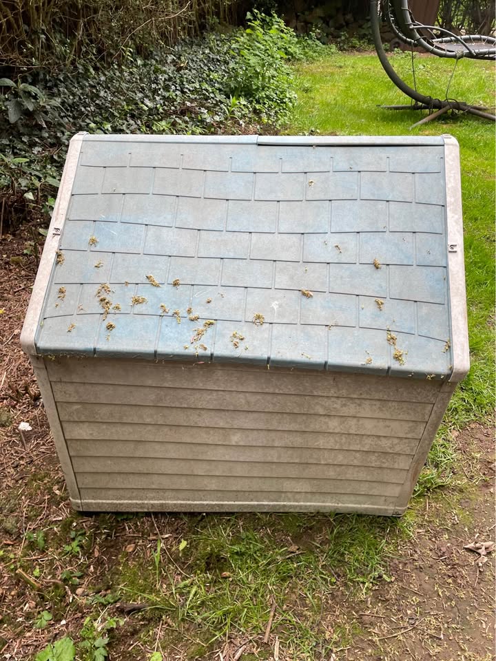 Large outside Dog kennel – poza 3