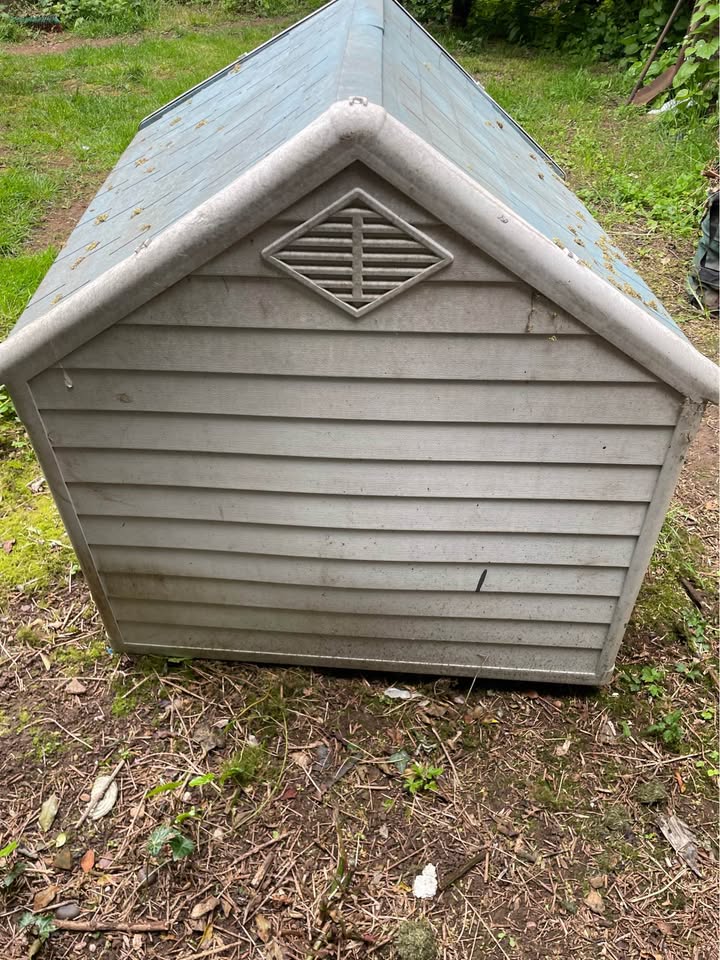 Large outside Dog kennel – poza 4