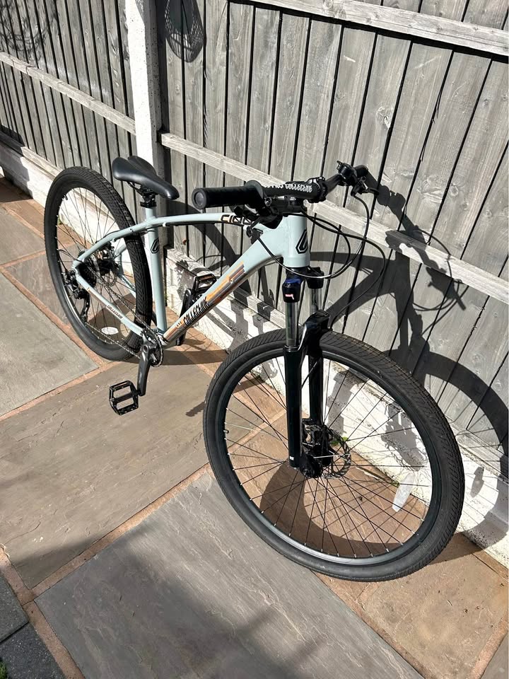 Collective C100 bike