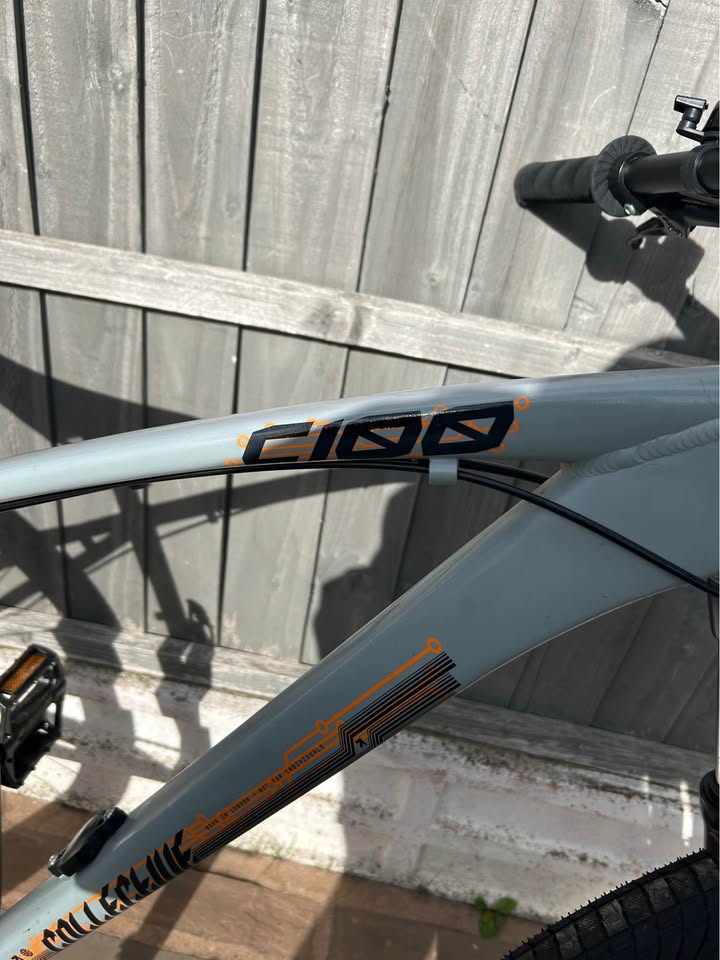 Collective C100 bike – poza 2