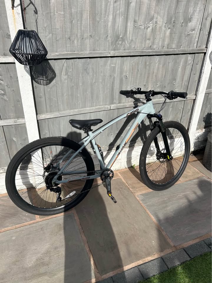 Collective C100 bike – poza 4