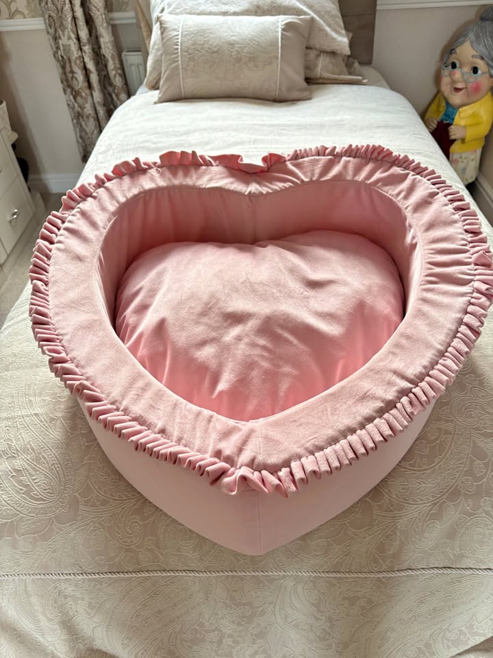 heart shaped lovely dogs bed