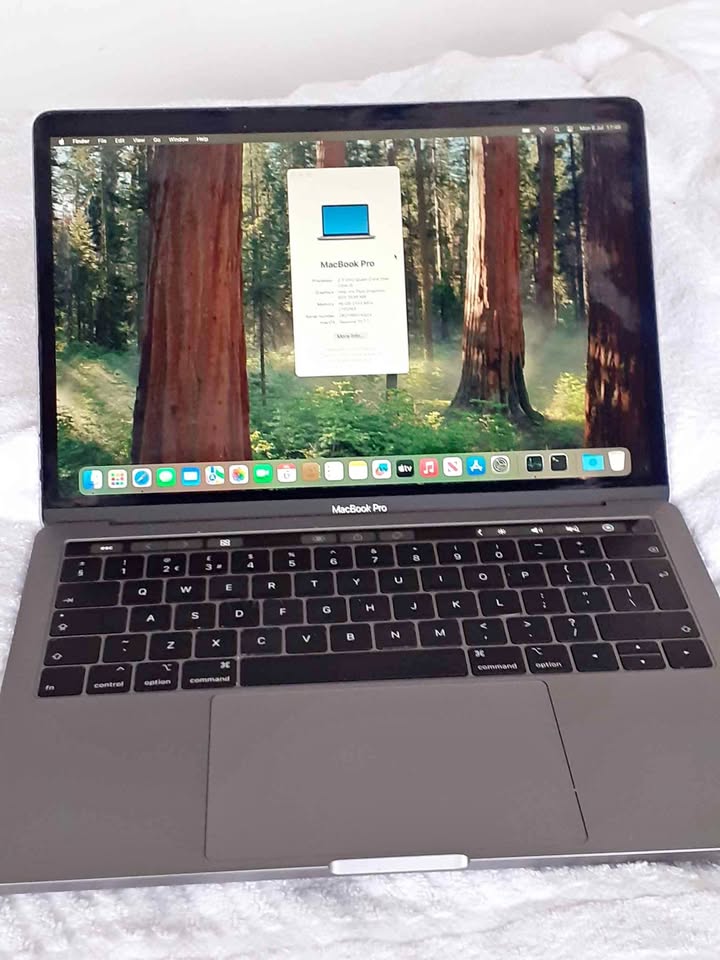 MacBook pro 2017 £175 comes with charger