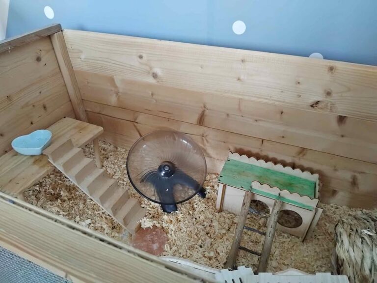 Hamster cage and accessories