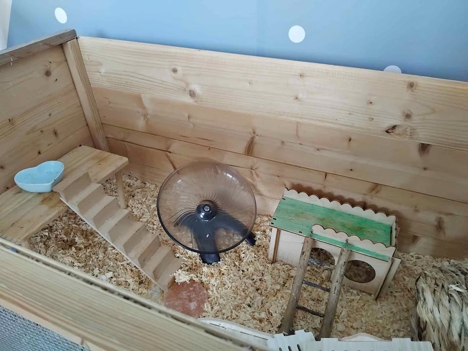 Hamster cage and accessories – poza 1
