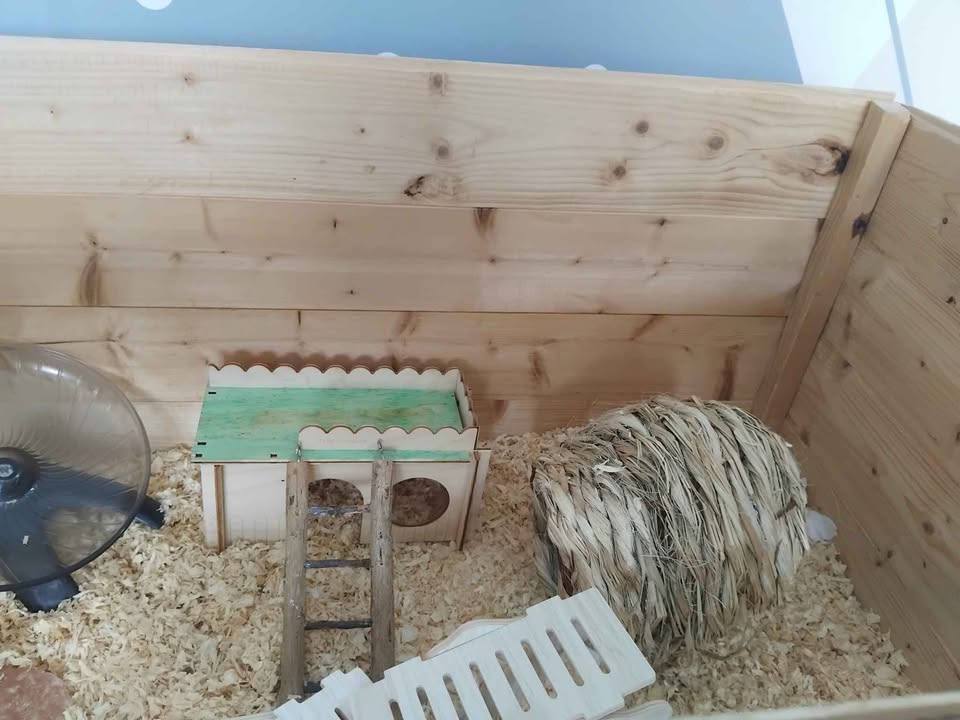 Hamster cage and accessories – poza 2