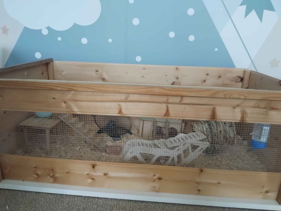 Hamster cage and accessories – poza 3